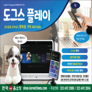 도그스플레이 - 강아지를 위한 스마트 TV